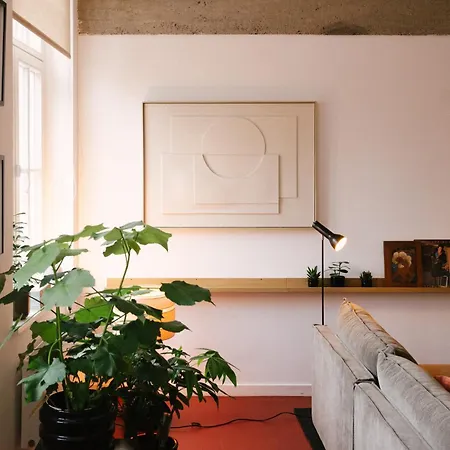 Aplace - Marvellous Flats & - Leeuwenstraat 20 *